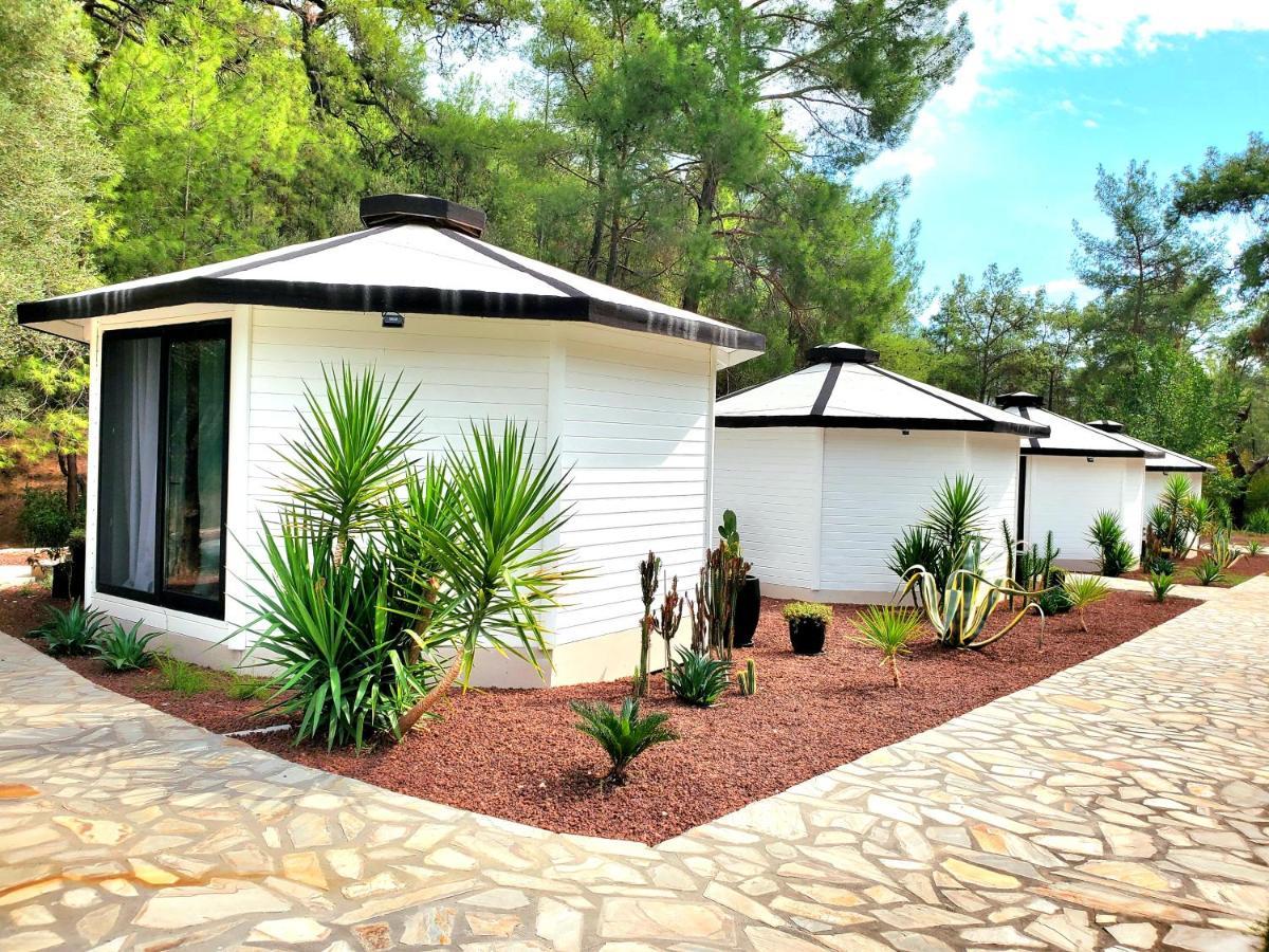 Nomad Lodge Olympos Adults Only Bagian luar foto